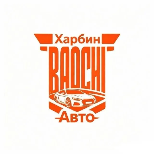 BAOCHI Auto